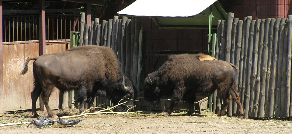 正规的代充平台推荐的ddos压力测试平台